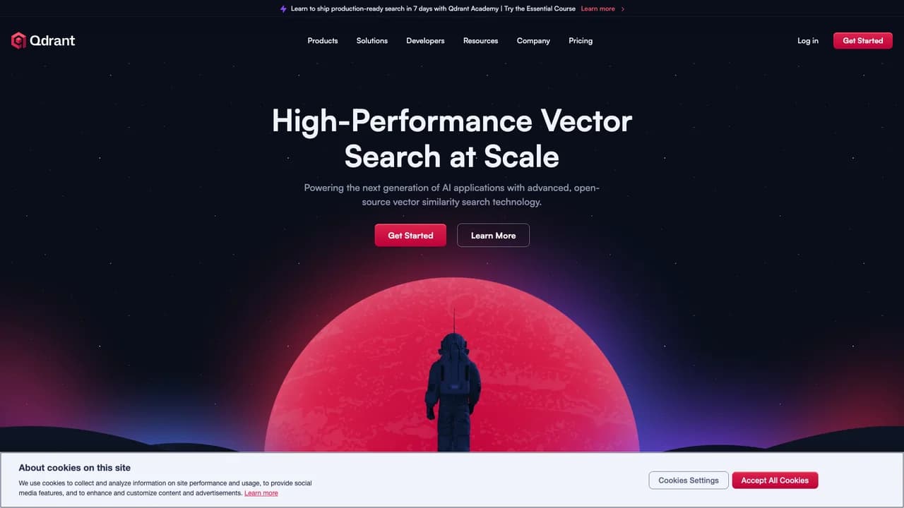 qdrant screenshot