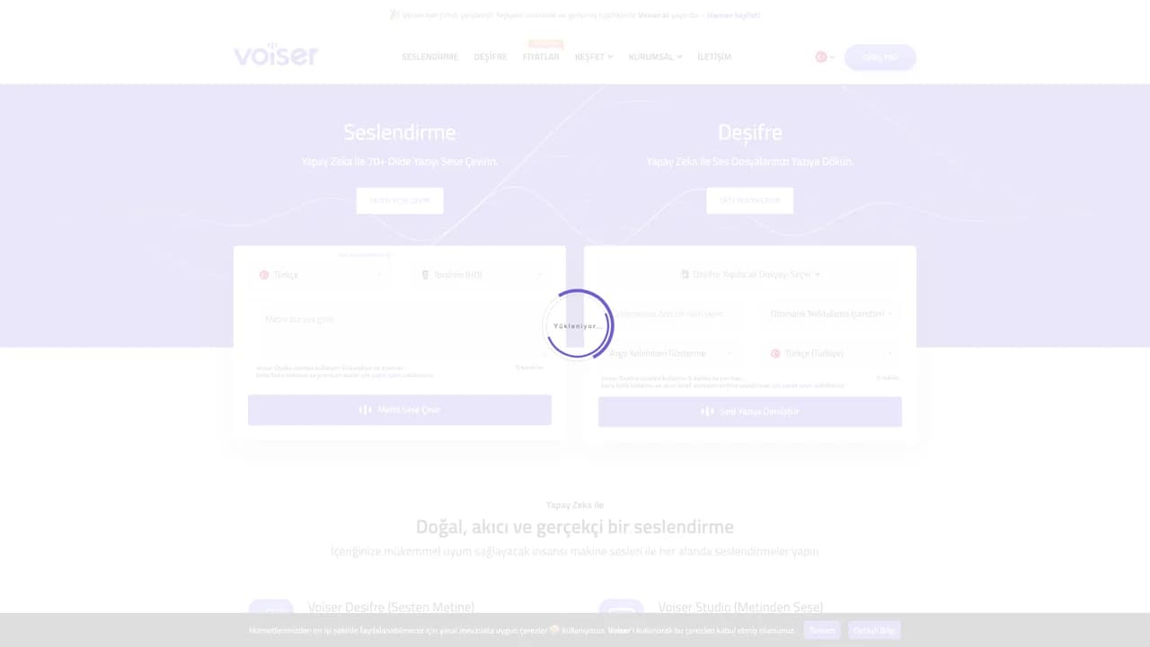 voiser screenshot